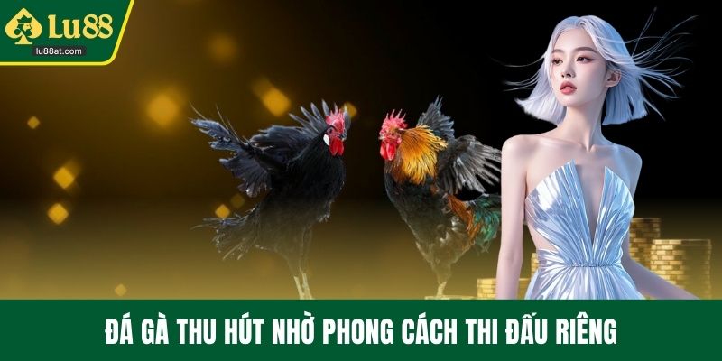 Đá gà thu hút nhờ phong cách thi đấu riêng