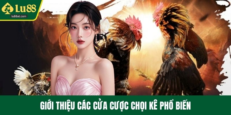 Giới thiệu các cửa cược chọi kê phổ biến