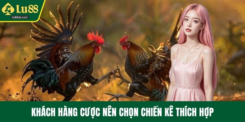 Khách hàng cược nên chọn chiến kê thích hợp