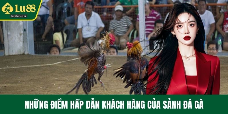 Những điểm hấp dẫn khách hàng của sảnh đá gà