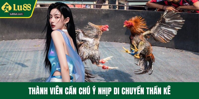 Thành viên cần chú ý nhịp di chuyển thần kê