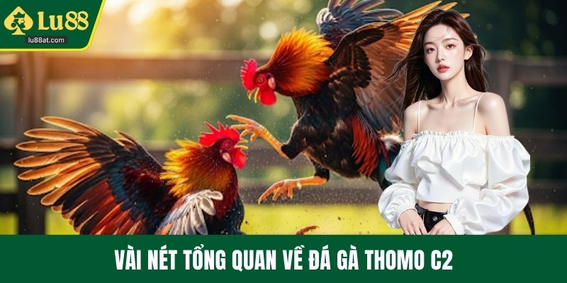 Vài nét tổng quan về đá gà Thomo C2